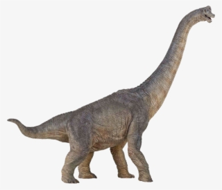 Dinosaur Png - Papo The Dinosaur Figure, Brachiosaurus