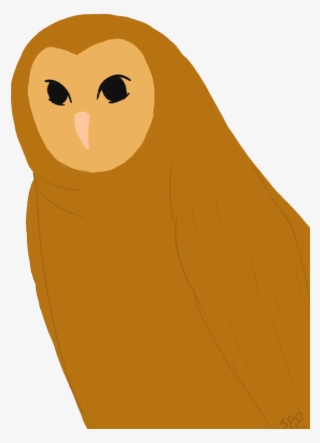 Ovo Owl Png - Portable Network Graphics