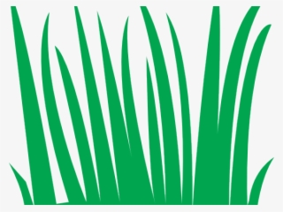 Swamp Clipart Grass Field - Animation