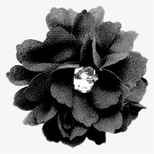 Black Flower - Black Flower Png