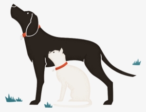 Tapeworm Header - Cat