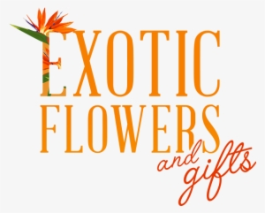 Exotic Flowers And Gifts - Calligraphy
