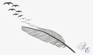 A Silhouette Feather Breaking Apart Into A Flock Of - Feather Into Birds Png