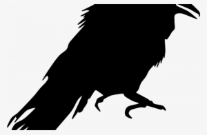 Tag For Flying Bird Png Image Bald Eagle Stock Illustration - Crow Silhouette Png