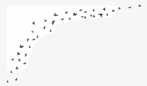 Bird Tumblr Transparent - Flock