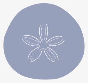 Circle