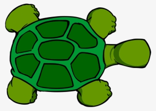 Kturtle Top View - Cartoon Turtle Shell