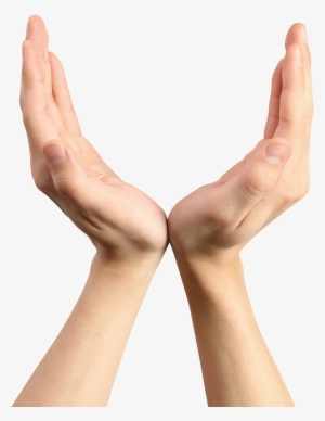 Hands Png Clipart Image