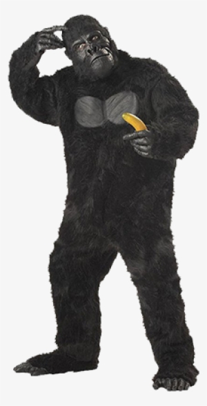 Gorillah-bf - Gorilla Costume