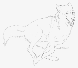 Drawn Wolf Running Wolf - Line Art