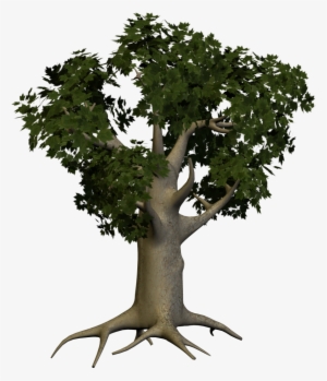 Tree Png Animated - Tree Trunk Png Hd