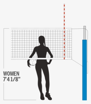 Net Height - Height Of Volleyball Net For Women