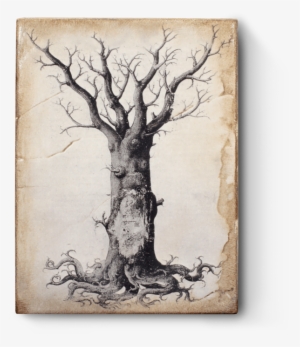 Medieval Tree Of Life