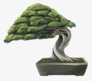 Png Black And White Download Bonsai Tree By Minums - Bonsai Tree Digital Painting