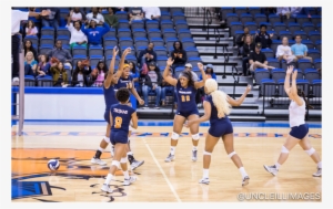Volleyball Defeats Sau On Day 2 Of Tournament - Volleyball
