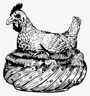 Drawing, Hen, Wings, Basket, Animal, Feathers - Old Clip Art