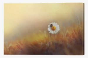 Flower Daisies Chamomile With Ladybug In The Grass - Wandtattoo Buddha Klebefieber Größe: 50 Cm H X 40 Cm