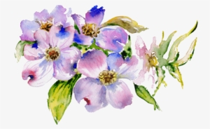 I Have Tried To Develop A Program That Has Emotional - Dogwood Flower Watercolor
