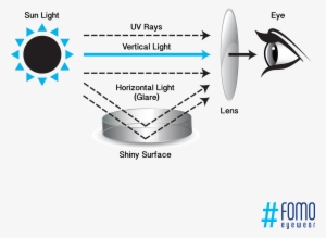 What Are Polarised Lenses - Ultra Violet Rays Drawing