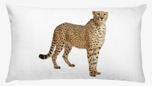Cheetah Print Rectangular Pillow - Cheetah Speed