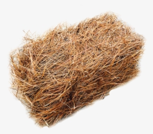 Pine Straw Png - Hay