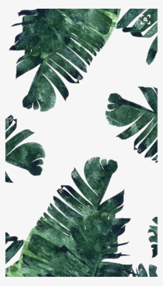 Collection Of Free Transparent Leaf Aesthetic Download - Green And White Backgrounds Plants