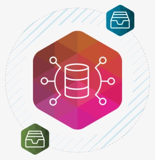 Simplify Database Reorganization