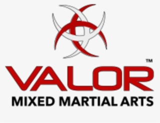 valor mixed martial arts logo - valor mixed martial arts