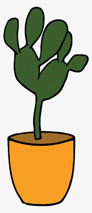 Cactus Plant Green Transparent Image
