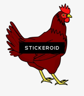 鸡png透明图像 - 鸡 - Chicken Clip Art