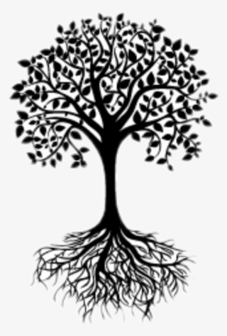 Black And White Tree Silhouette
