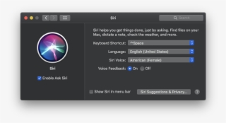 How To Set A Custom Siri Keyboard Shortcut - Siri On Mac
