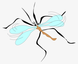 July 4th Weekend Weather Brings Sun, Mosquitoes - Mosquito Clip Art