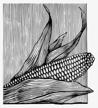 Free Corn On The Cob - Ilustracion Maiz Blanco Y Negro Png