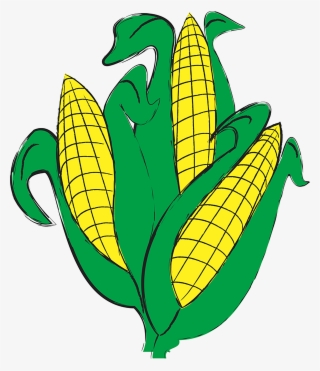 Quick Corn Illustration