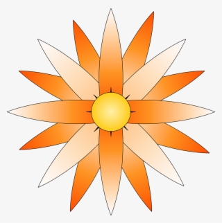 Flower, Orange, Orange Flower, Yellow Flower