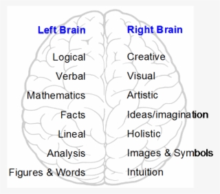 Left And Right Brain - Left And Right Brain Hemispheres