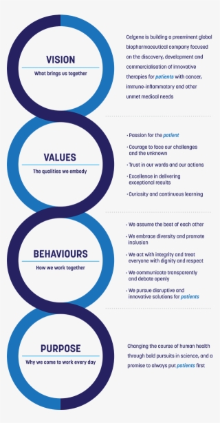 Our Culture Vertical Banner - Vision Values Behaviours