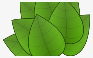 Fall Leaves Border Clipart - Parts Of The Plants Leaf