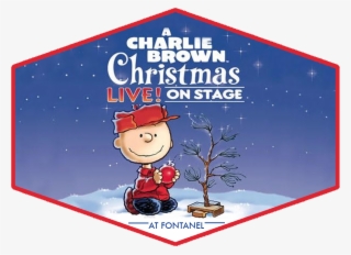 Charlie Brown Christmas By Schulz Charles M.