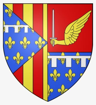 carcassonne france flag