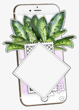 Edit Overlay Aesthetic Tumblr Random Sticker Lcvingchi - Png Format Png Flowers Plants