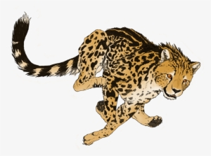 Cheetah Png Transparent Picture - King Cheetah Artwork