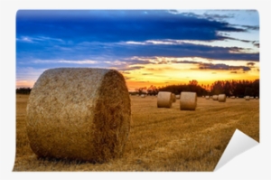 End Of Day Over Field With Hay Bale Wall Mural • Pixers - Hay