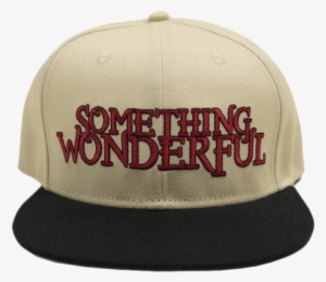2016 something wonderful snapback - baseball cap