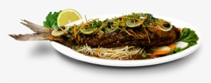 Continental - Sầm Sơn