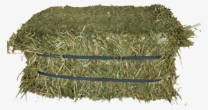 Alfalfa Compressed Hay - Hay