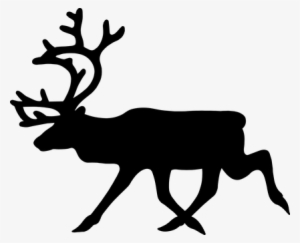 Stag Moose Elk Deer Animal Mammal Moose Mo - Reindeer Clipart