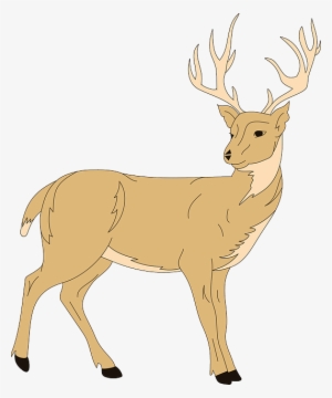 deer, art, forest, animal, fur, with, antlers - deer clipart