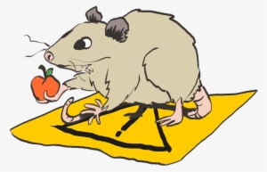 The Caution Possum Doesn't Quite Get It, But He's Trying - Mouse